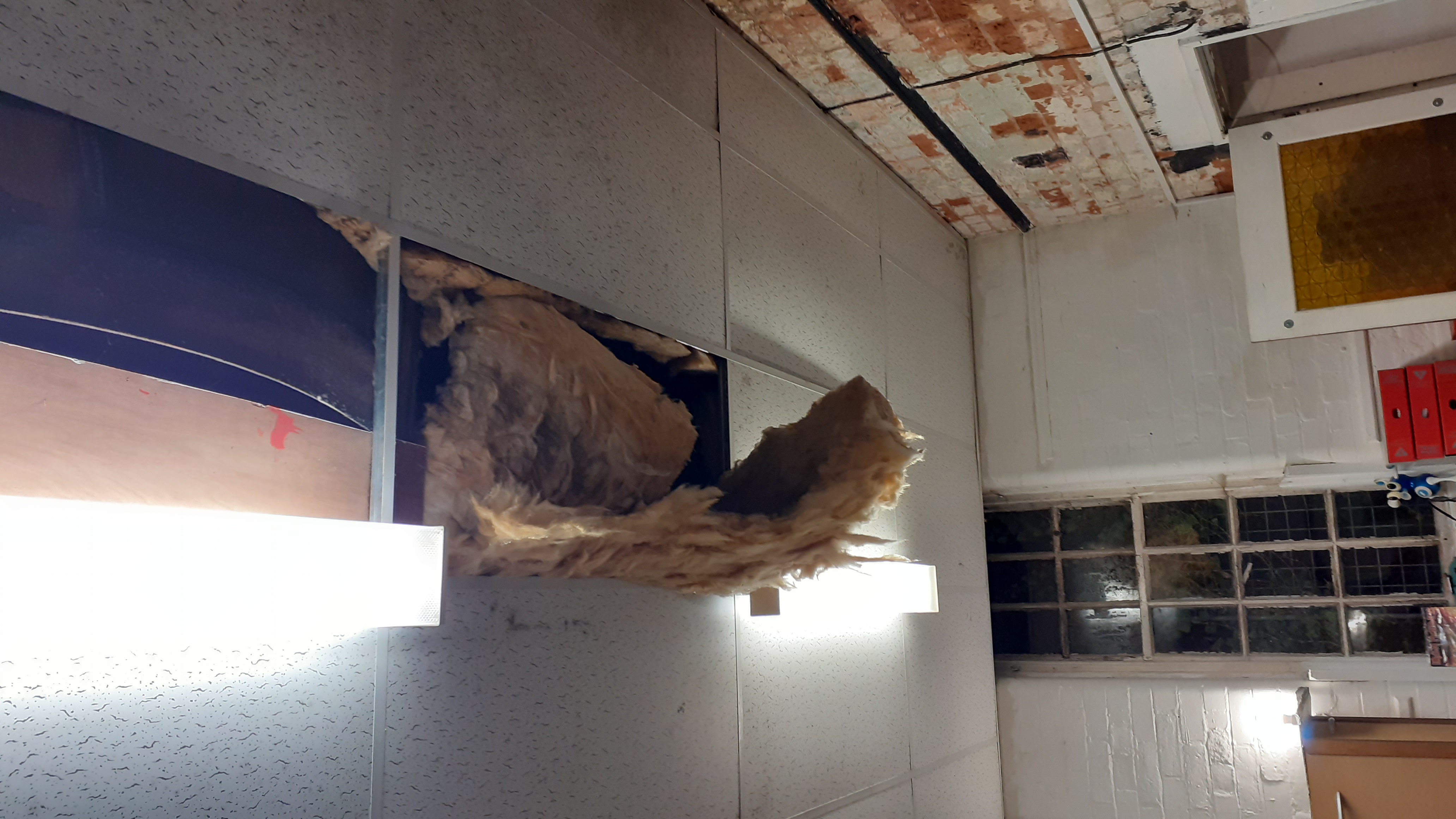 Missing celing tile with wet insulation hanging down